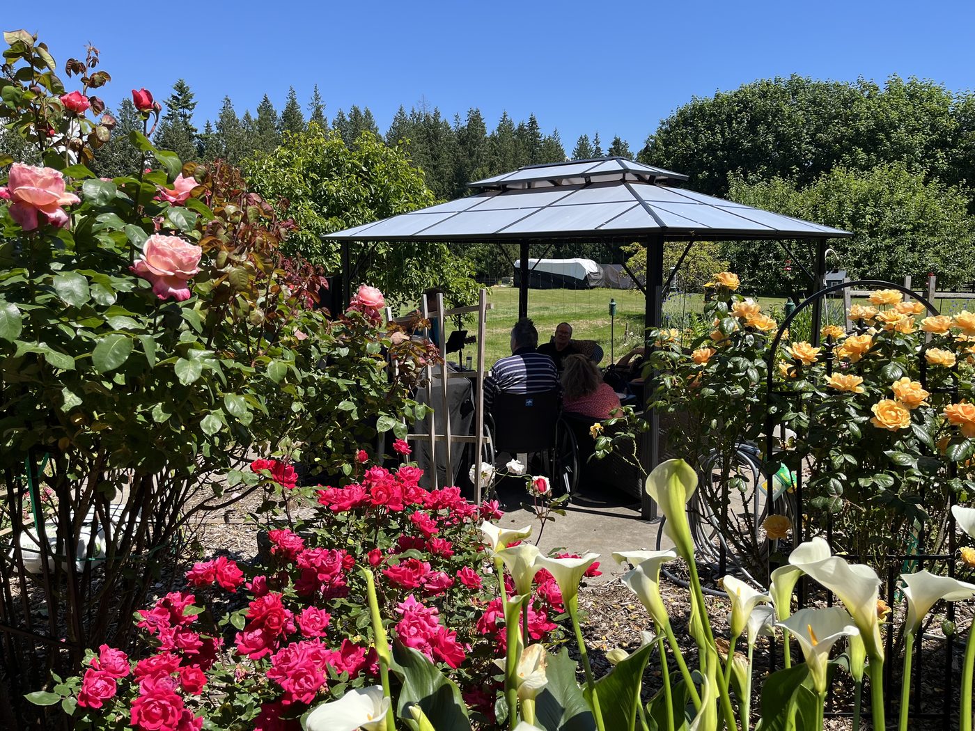 Residents gathered under the rose garden gazebo at Leeside Manor