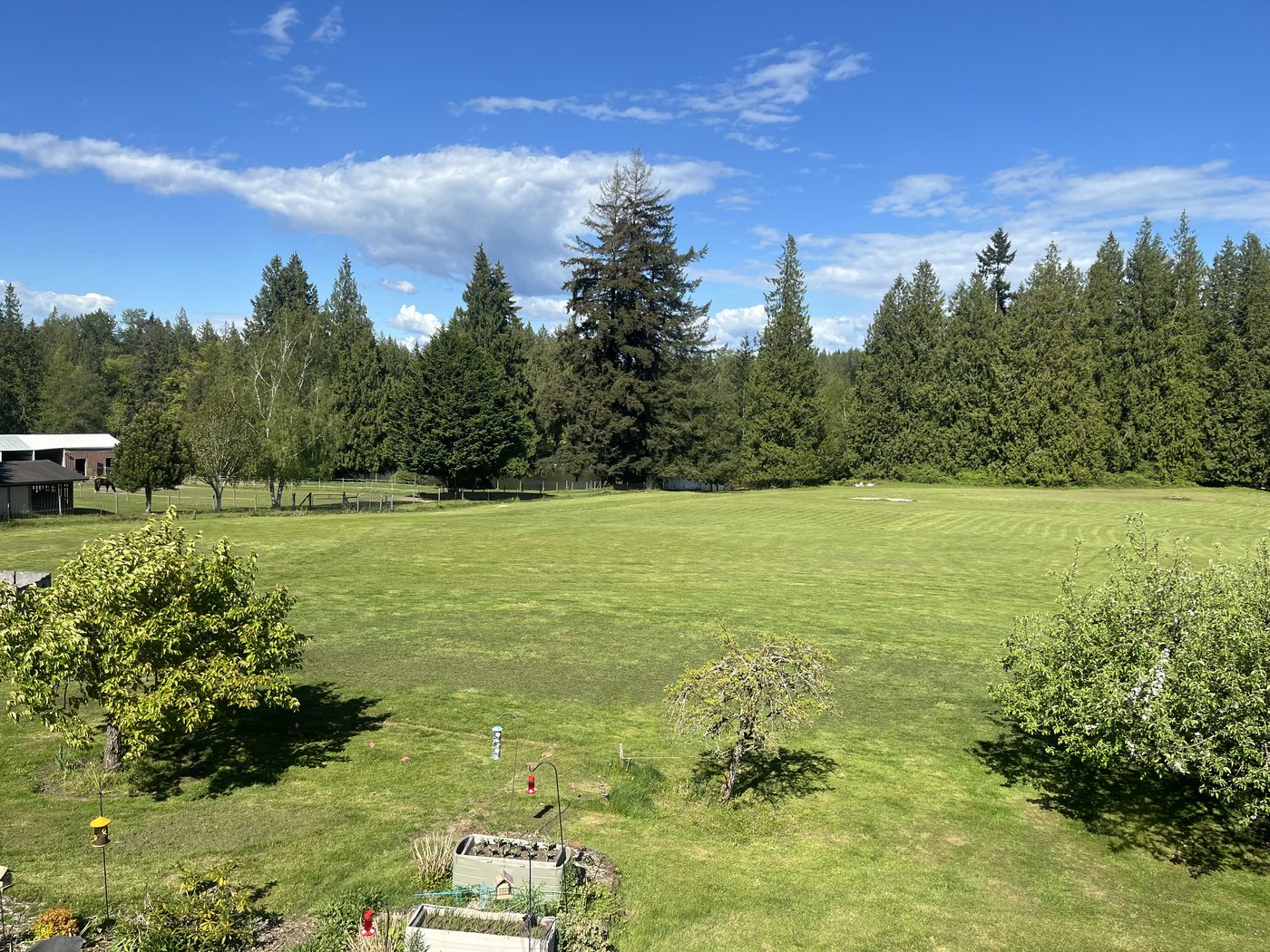 The five-acre lawn and tree line at Leeside Manor